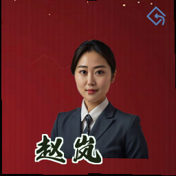赵岚